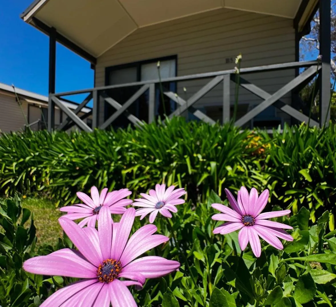 Holiday park Eaglehawk Park Canberra