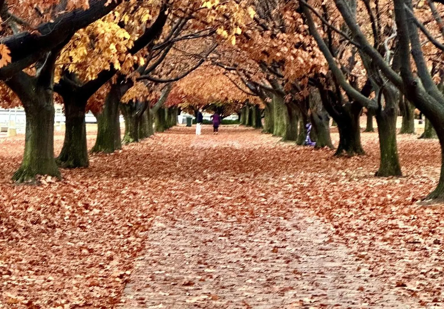 Eaglehawk Park Canberra